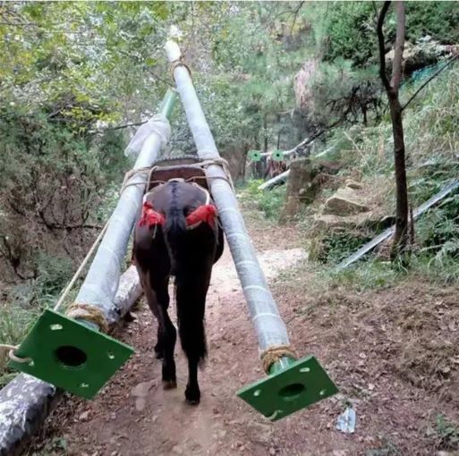 湖南骡马运输队