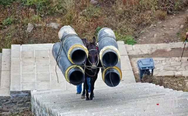 湖南马帮运输